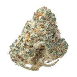 Pure Michigan Exotic Smalls THCa Flower supergreenshempco