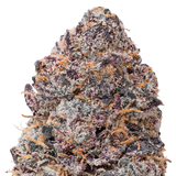 Purple Certz THCa Flower Ounce