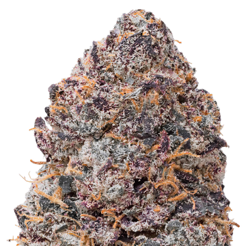 Purple Certz THCa Flower macro