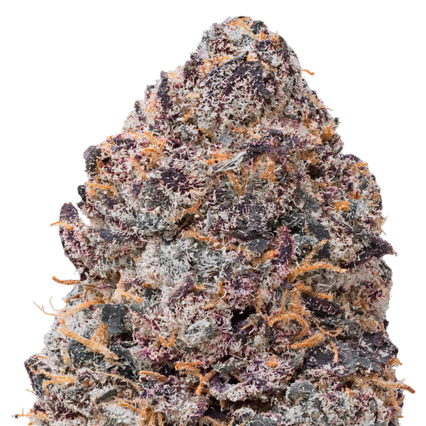 Purple Certz THCa Flower macro