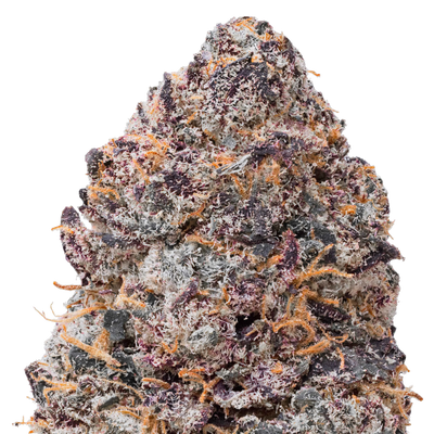 Purple Certz THCa Flower macro