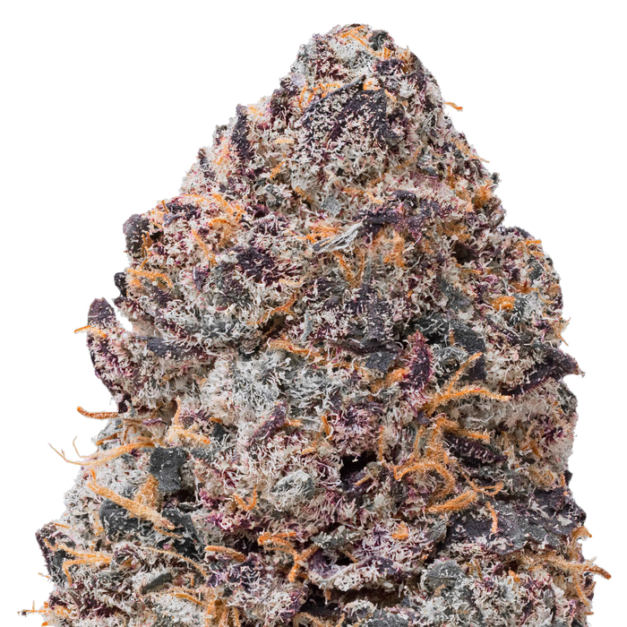 Purple Certz THCa Flower macro