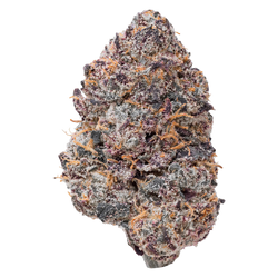 Purple Certz THCa Flower nug