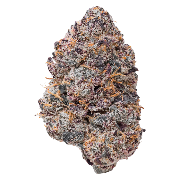 Purple Certz THCa Flower nug
