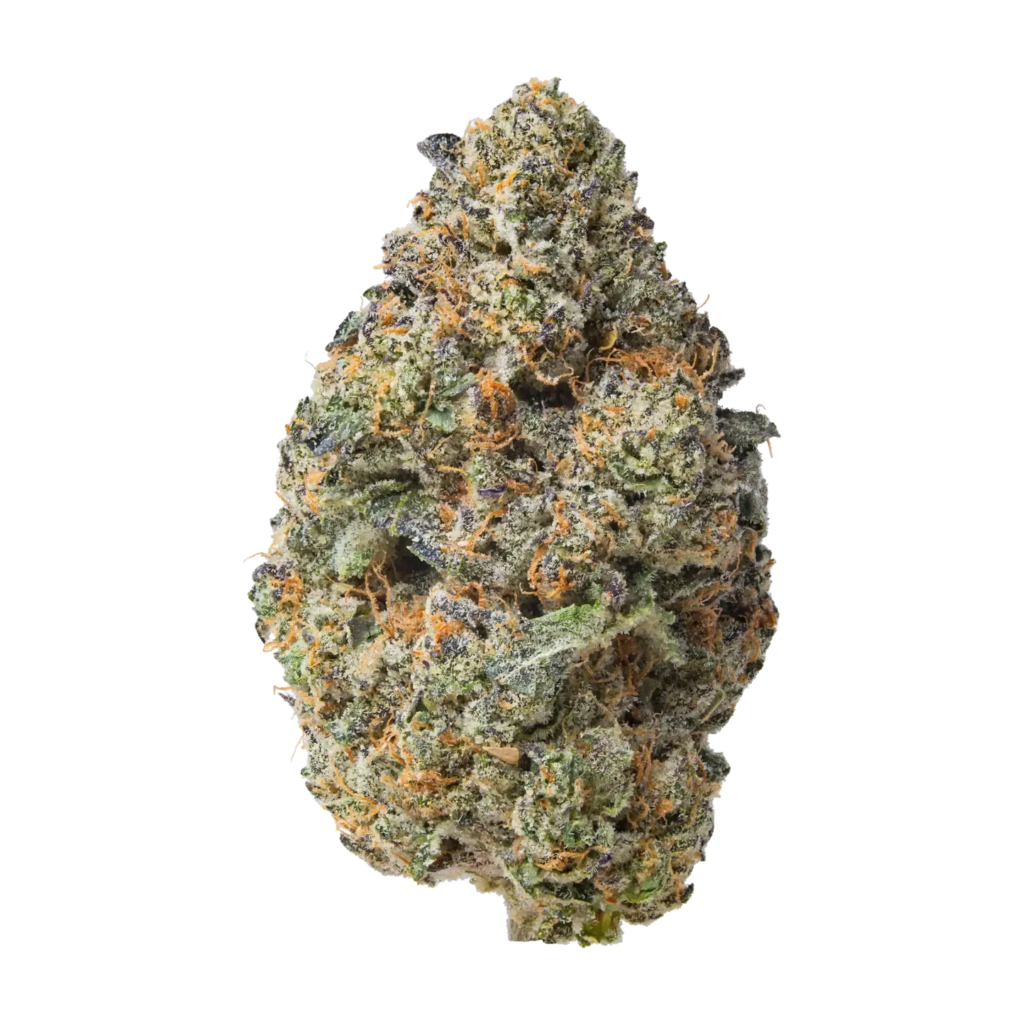Purple Passion