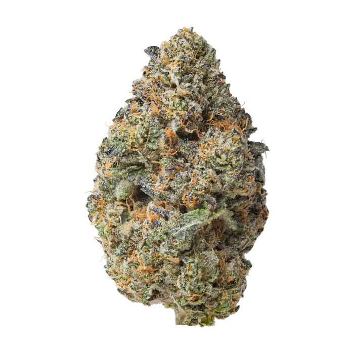 Purple Passion