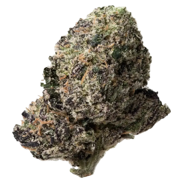 Purple Punch THCa Flower 