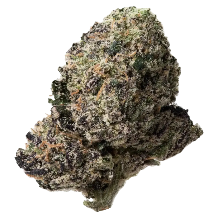 Purple Punch THCa Flower 