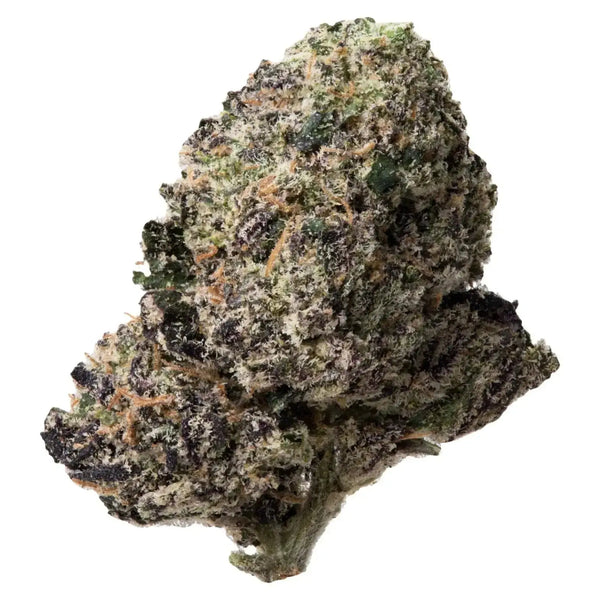 Purple Punch THCa Flower