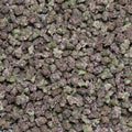 Purple Tesla Smalls THCa Flower