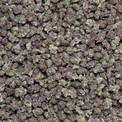 Purple Tesla Smalls THCa Flower