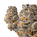 Queen Sherb THCa Flower 