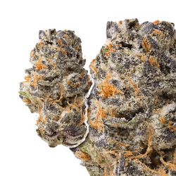 Queen Sherb THCa Flower 