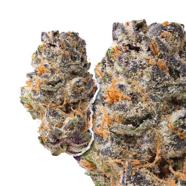 Queen Sherb compared