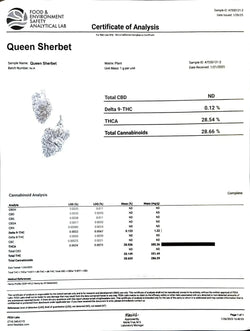 Queen Sherb THCa Flower supergreenshempco