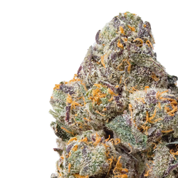 Rainbow Snowman close up