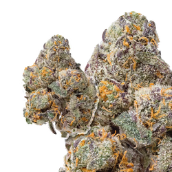 Rainbow Snowman compared