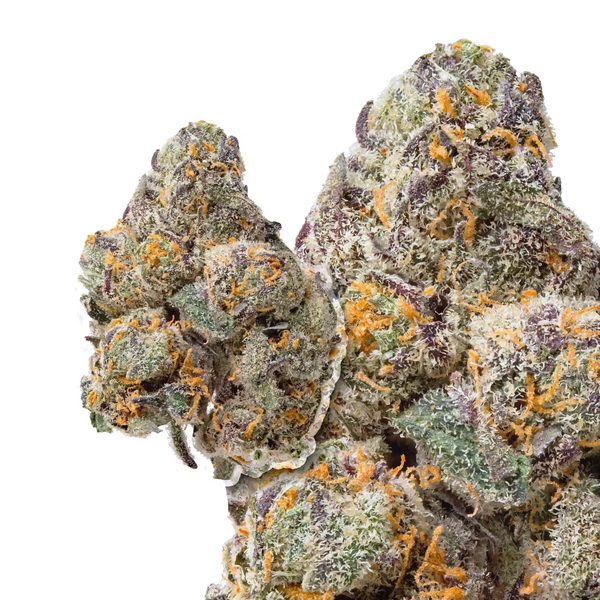 Rainbow Snowman compared