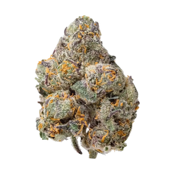 Rainbow Snowman THCa Flower Ounce supergreenshempco