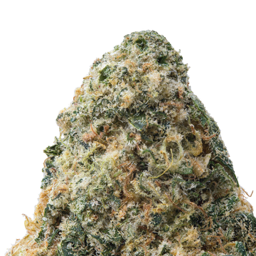 Rainbow Snowman THCa Flower 3.5 Grams 