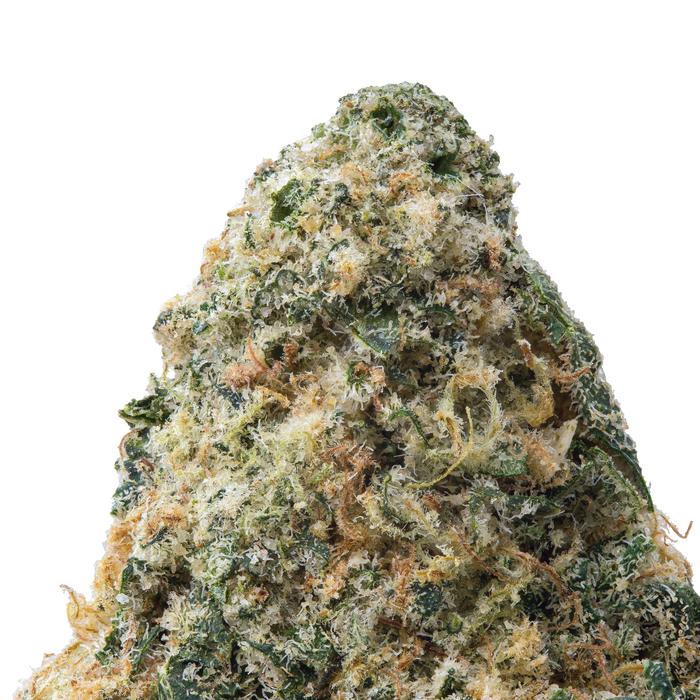 Rainbow Snowman THCa Flower 3.5 Grams 