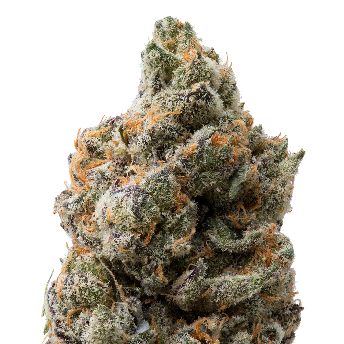 Red Rock THCa Flower macro