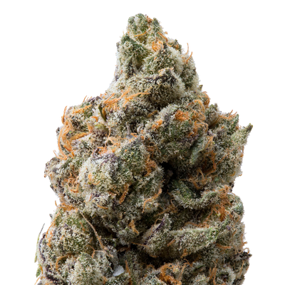 Red Rock THCa Flower macro
