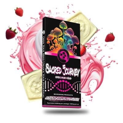 Sacred Journey Mushroom Microdose Chocolates 