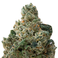 Sticky Tits THCA Flower macro