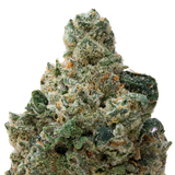 Sticky Tits THCA Flower