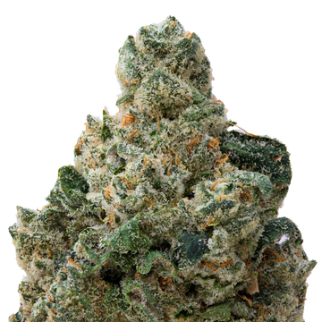 Sticky Tits THCA Flower macro
