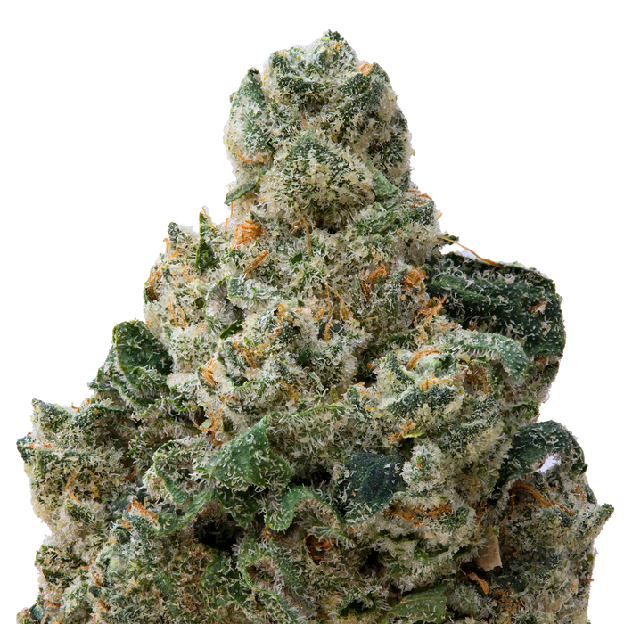 Sticky Tits THCA Flower macro