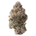 Silver Spoon THCa Flower 