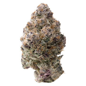 Silver Spoon THCa Flower 