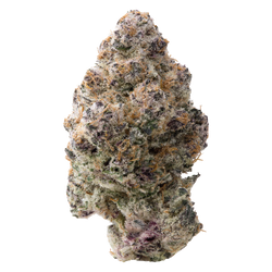 Silver Spoon THCa Flower 