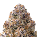 Silver Spoon THCa Flower macro