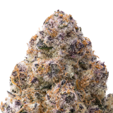 Silver Spoon THCa Flower
