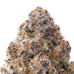 Silver Spoon THCa Flower macro