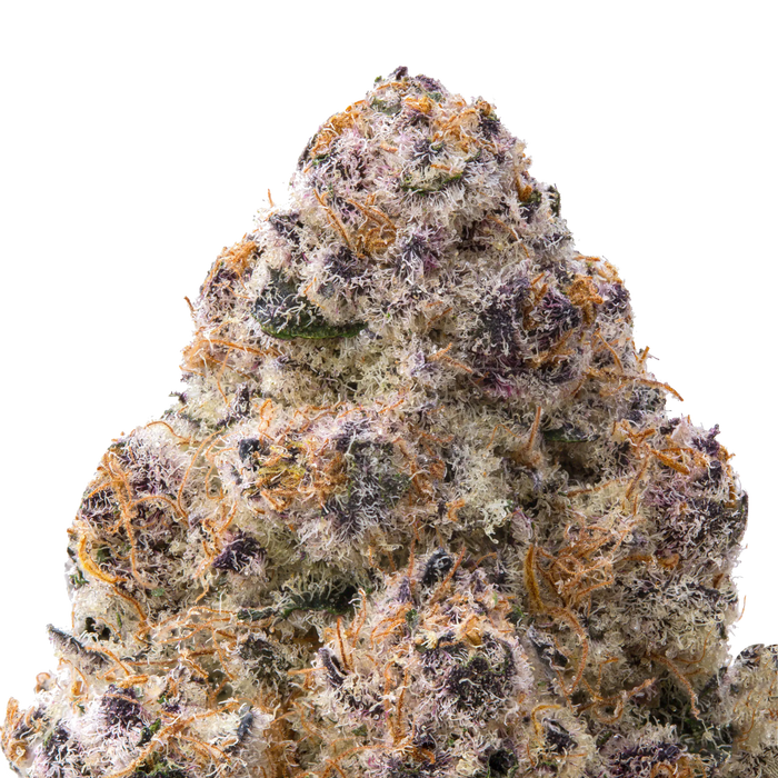 Silver Spoon THCa Flower macro