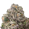 Sour Runtz THCa Flower macro