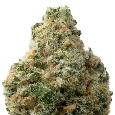 Sour Warheads THCa Flower