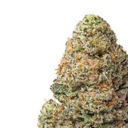 Space Runtz close up