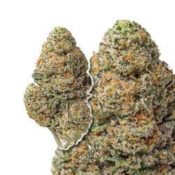 Space Runtz compared