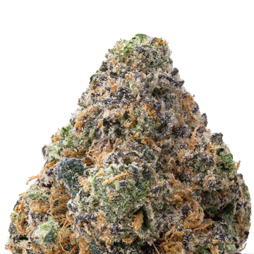 Sour Runtz THCa Flower macro