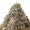 Strawberry Cough THCa Flower 