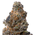 Subzero THCA Flower macro