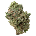 Super Buff Cherry Greenhouse Smalls THCa Flower | 28 Grams 