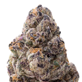 Tamales Big THCA Flower macro