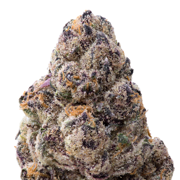 Tamales Big THCA Flower macro
