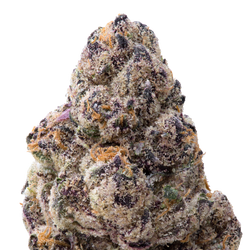 Tamales Big THCA Flower macro